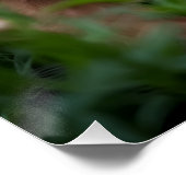 Where Muscle Meets Meadow Perfect Poster (Hoek)