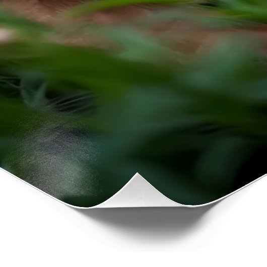 Where Muscle Meets Meadow Perfect Poster (Hoek)