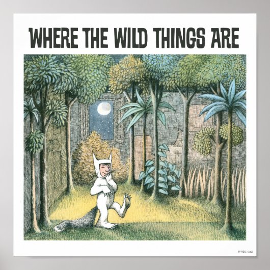 Where The Wild Things Are | Scène 4 Poster (Voorkant)