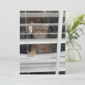 Where's Mom, Starring Taz the Cat- 5 x 7 Flat Card Feestdagenkaart (Staand voorkant)