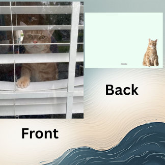 Where's Mom, Starring Taz the Cat- 5 x 7 Flat Card Feestdagenkaart