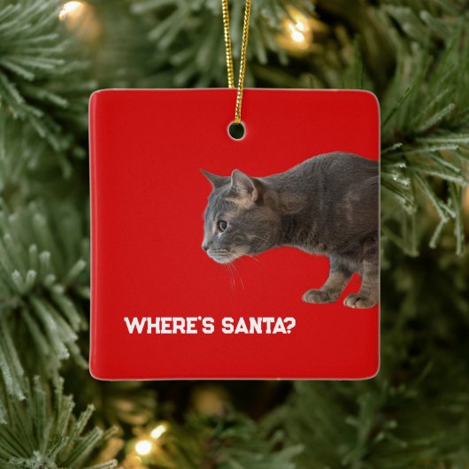 Where's Santa Cat Ornament (Boom)