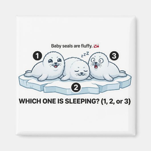 Which One Is Sleeping? – Baby Seal Learning Magnet (Voorkant)