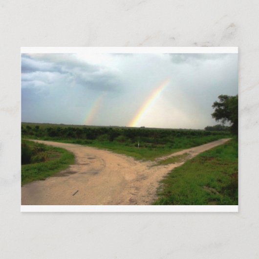 Which way now briefkaart (Voorkant)