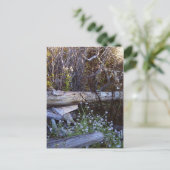 Whidbey Island 1 Briefkaart (Staand voorkant)