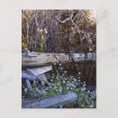 Whidbey Island 1 Briefkaart (Voorkant)