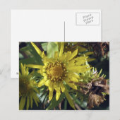 Whidbey Island 2 Briefkaart (Voorkant / Achterkant)