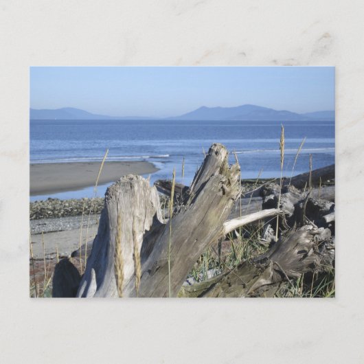 Whidbey Island 4 Briefkaart (Voorkant)