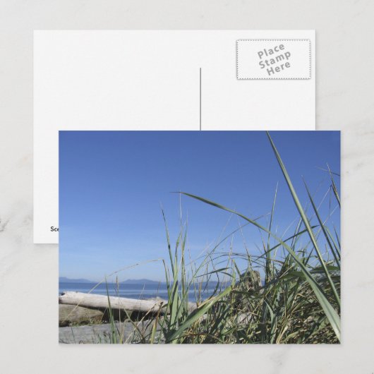 Whidbey Island 5 Briefkaart (Voorkant / Achterkant)