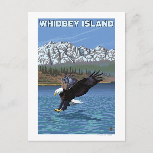 Whidbey Island, WashingtonEagle Vist Briefkaart (Voorkant)