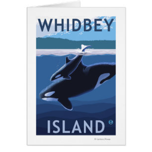 Whidbey Island, WashingtonOrca en Calf