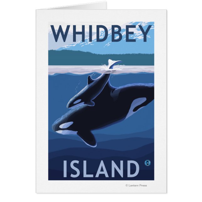 Whidbey Island, WashingtonOrca en Calf (Voorkant)