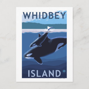 Whidbey Island, WashingtonOrca en Calf Briefkaart