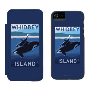 Whidbey Island, WashingtonOrca en Calf