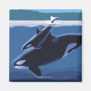 Whidbey Island, WashingtonOrca en Calf Magneet
