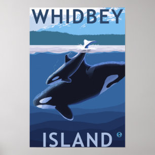 Whidbey Island, WashingtonOrca en Calf Poster