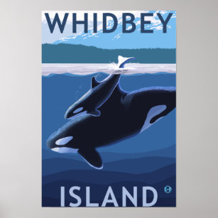 Whidbey Island, WashingtonOrca en Calf Poster