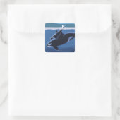 Whidbey Island, WashingtonOrca en Calf Vierkante Sticker (Tas)
