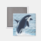 Whidbey Island, WashingtonOrca Jumping Magneet (Voorkant / Achterkant)