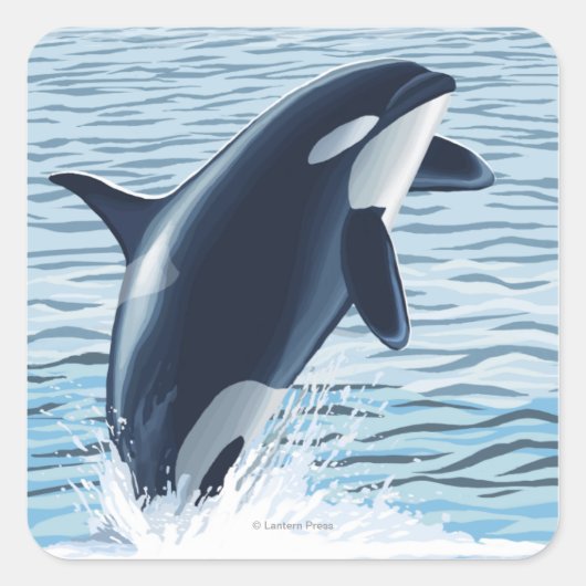 Whidbey Island, WashingtonOrca Jumping Vierkante Sticker (Voorkant)