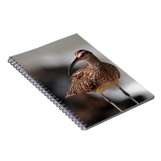 Whimbrel Notitieboek (Rechterzijde)