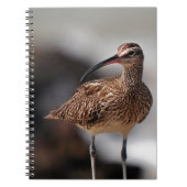 Whimbrel Notitieboek (Voorkant)