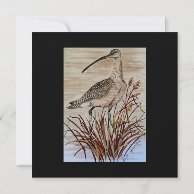 Whimbrel-puzzel (Voorkant)
