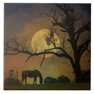 Whimiscal Horse and Moon Art Tegel Tegeltje