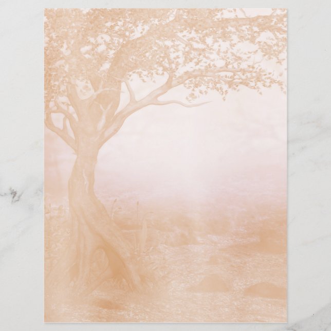 Whimsical (Voorkant)