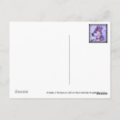 Whimsical Aotearoa Briefkaart (Achterkant)