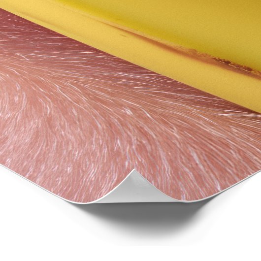 Whimsical Banaan en Pink Monkey Poster (Hoek)