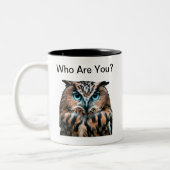 Whimsical Blue Eyed Owl Tweekleurige Koffiemok (Links)
