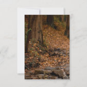 Whimsical Calligraphy Trouwfoto Verloving Save The Date (Achterkant)