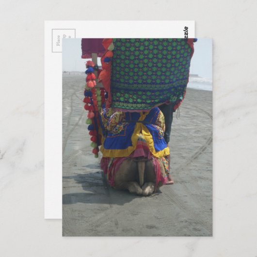 Whimsical Camel Art Print/Grafisch Briefkaart (Voorkant / Achterkant)