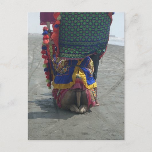 Whimsical Camel Art Print/Grafisch Briefkaart (Voorkant)