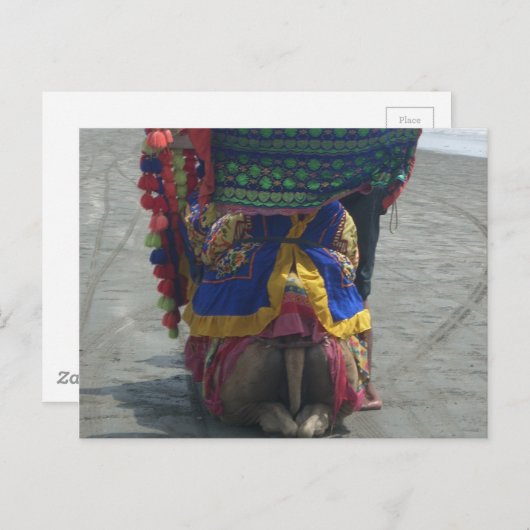 Whimsical Camel Art Print/Grafisch Briefkaart (Voorkant / Achterkant)