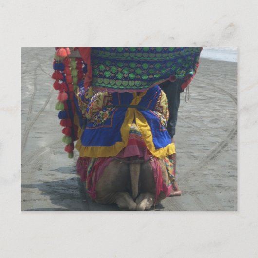 Whimsical Camel Art Print/Grafisch Briefkaart (Voorkant)