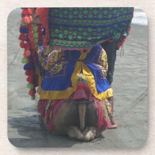 Whimsical Camel Art Print/Grafisch Drankjes Onderzetter (Voorkant)