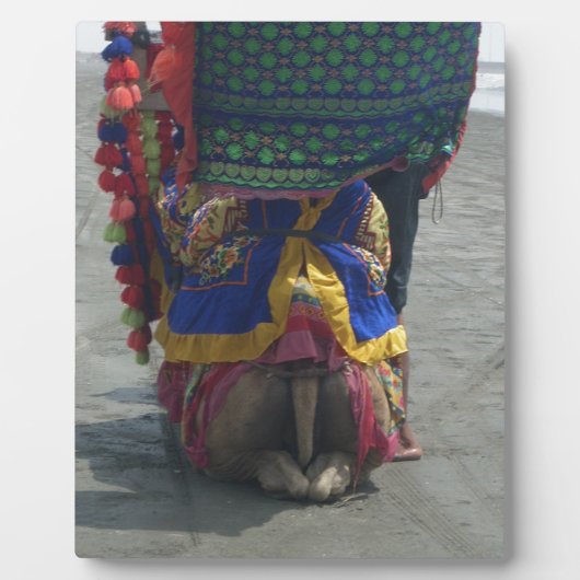 Whimsical Camel Art Print/Grafisch Fotoplaat (Voorkant)