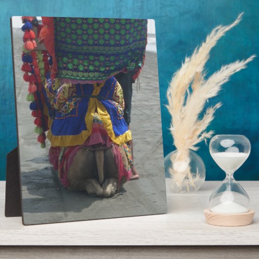 Whimsical Camel Art Print/Grafisch Fotoplaat (Zijkant)