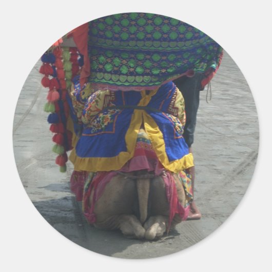 Whimsical Camel Art Print/Grafisch Ronde Sticker (Voorkant)