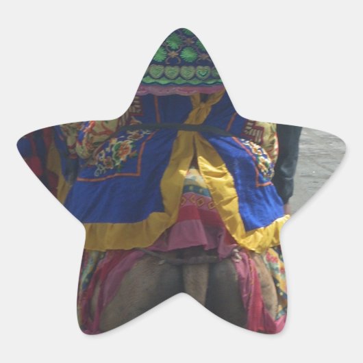 Whimsical Camel Art Print/Grafisch Ster Sticker (Voorkant)