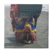 Whimsical Camel Art Print/Grafisch Tegeltje (Voorkant)