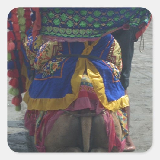 Whimsical Camel Art Print/Grafisch Vierkante Sticker (Voorkant)