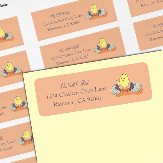 Whimsical Chick Out of Shell Retouradres Labels