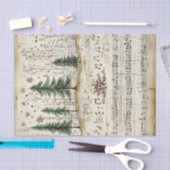 Whimsical Christmas Forest with Sheet Music Tissuepapier (Craft)