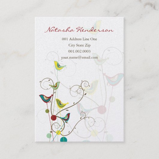 Whimsical Colorful Summer Birds and Swirls Moderne Visitekaartje (Voorkant)