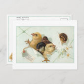 Whimsical Easter Chicken met Daisies en Greeting Briefkaart (Voorkant / Achterkant)