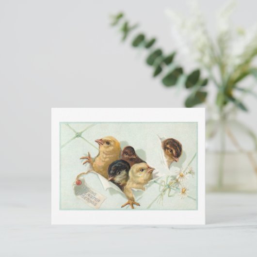 Whimsical Easter Chicken met Daisies en Greeting Briefkaart (Staand voorkant)