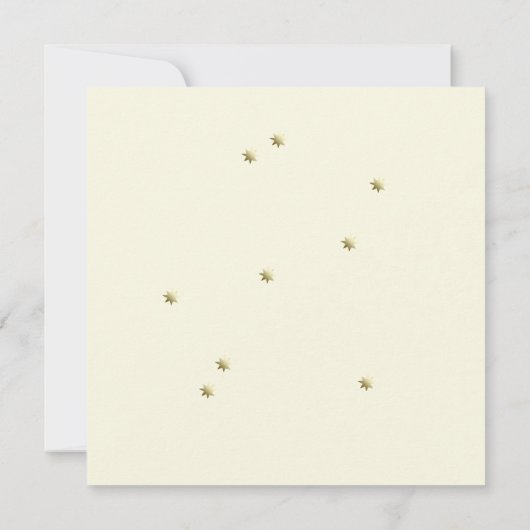 Whimsical Elegant Beluga Whale Baby shower Kaart (Achterkant)